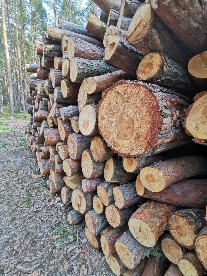 M&K Apartamenty Zielony Zakatek - Sobieszewo Gdańsk Eksteriør billede
